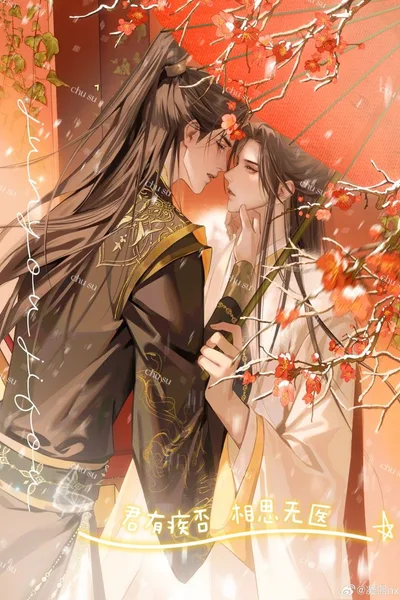 我的妻子是个男人